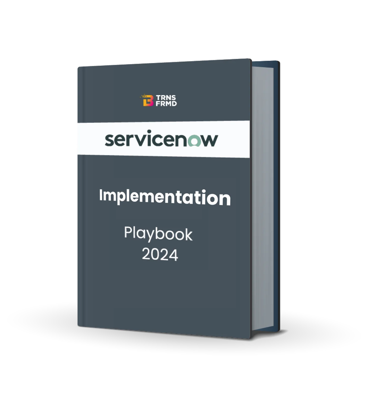 ServiceNow Implementation Guide